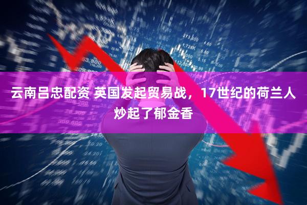 云南吕忠配资 英国发起贸易战，17世纪的荷兰人炒起了郁金香
