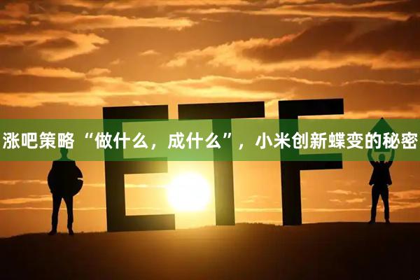 涨吧策略 “做什么，成什么”，小米创新蝶变的秘密