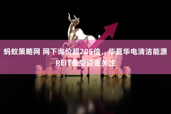 蚂蚁策略网 网下询价超205倍，华夏华电清洁能源REIT备受资金关注